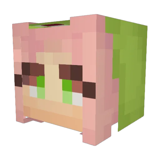 ProxyPossum Minecraft avatar head, 3D render