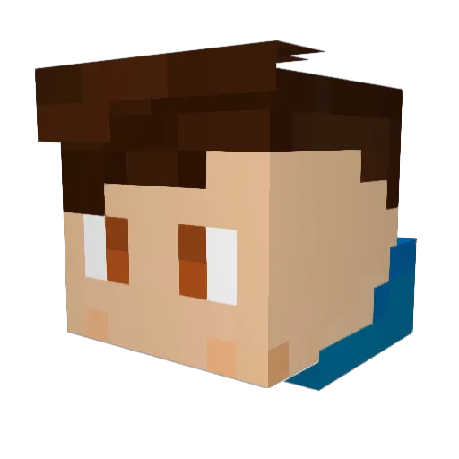 ProxyTime Minecraft avatar head, 3D render