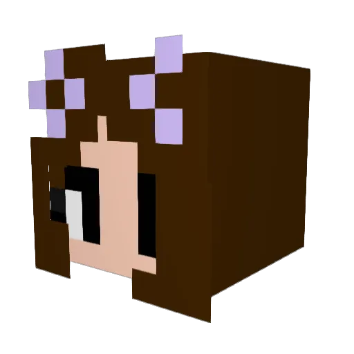 Prozinho_ Minecraft avatar head, 3D render