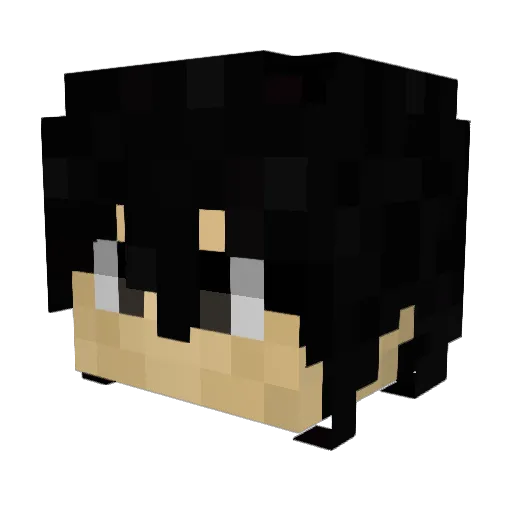 Prozone_ Minecraft avatar head, 3D render