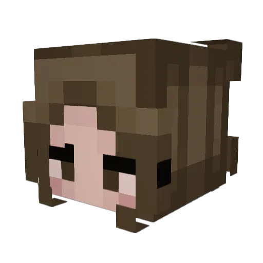 Prrescott Minecraft avatar head, 3D render