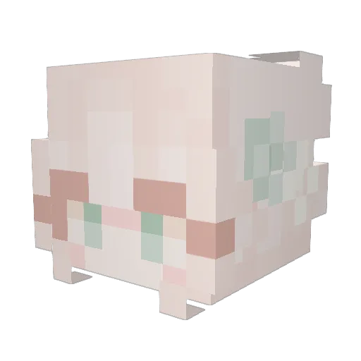 PrudenceNin17 Minecraft avatar head, 3D render