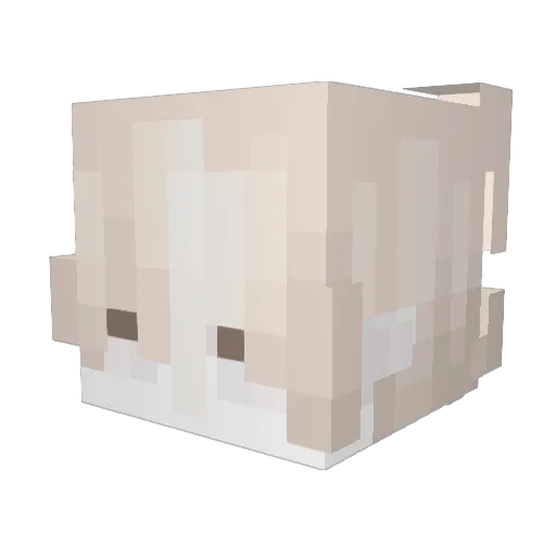 Prushchuk Minecraft avatar head, 3D render