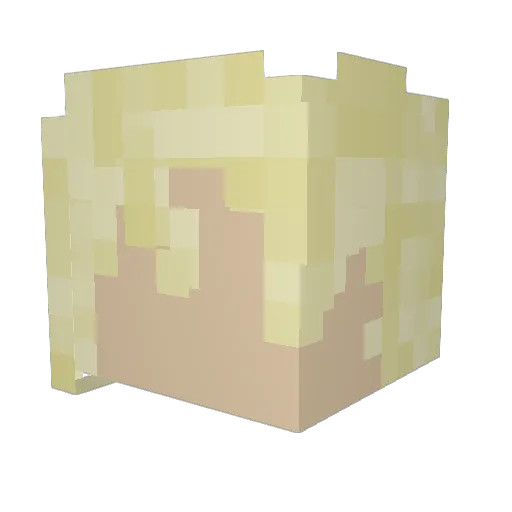 PrussianSnow Minecraft avatar head, 3D render