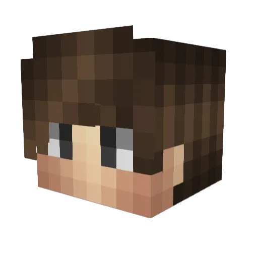 PruvaNeta Minecraft avatar head, 3D render