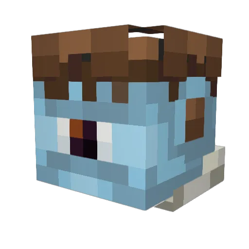 Prwedros Minecraft avatar head, 3D render