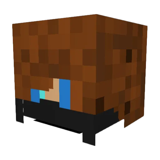 PrydeNZ Minecraft avatar head, 3D render