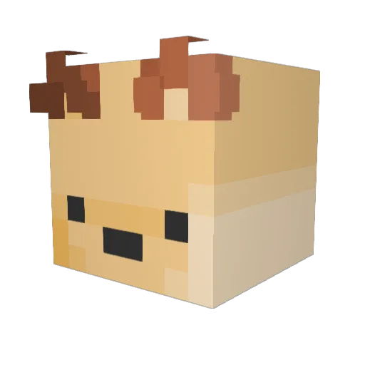 PrysmSS Minecraft avatar head, 3D render