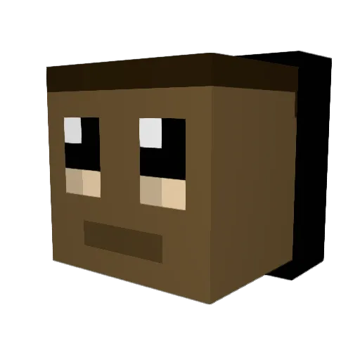 Prysznic_ Minecraft avatar head, 3D render