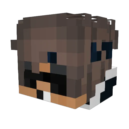 Ps41dollar Minecraft avatar head, 3D render