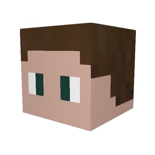 Pshona Minecraft avatar head, 3D render