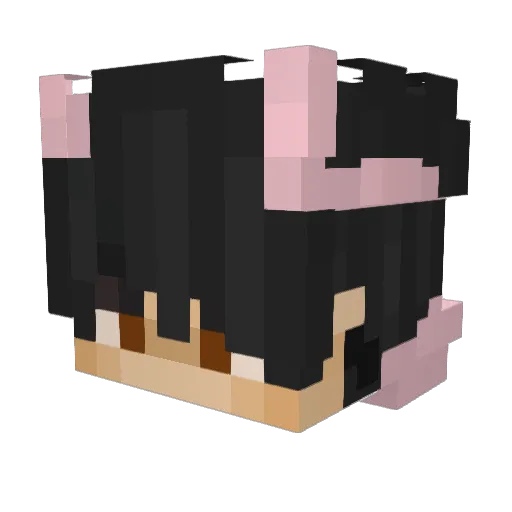 Psinty Minecraft avatar head, 3D render