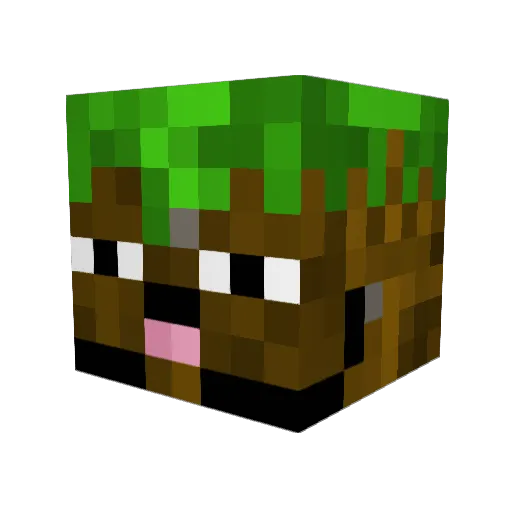 Psudo_Nym Minecraft avatar head, 3D render