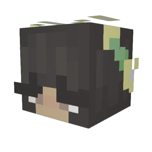 Psych0Cat8 Minecraft avatar head, 3D render