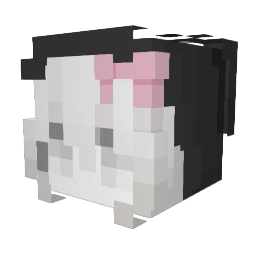 Psych1cznaaa Minecraft avatar head, 3D render