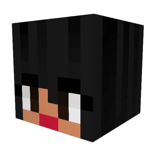 PsychLife Minecraft avatar head, 3D render