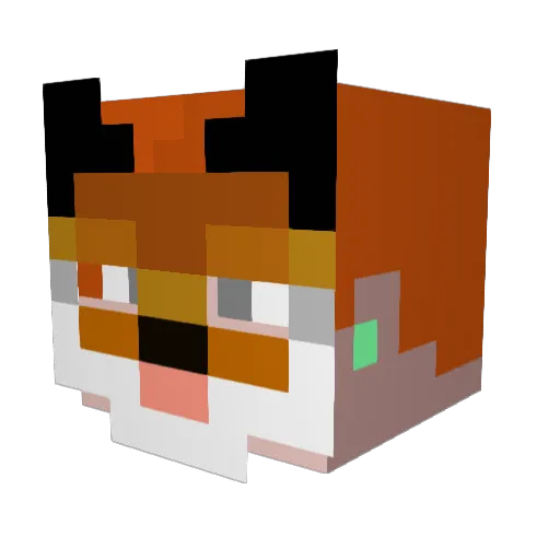 PsychedelicFox Minecraft avatar head, 3D render