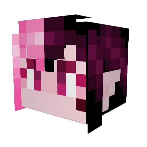 PsychedelicPink Minecraft avatar head, 3D render