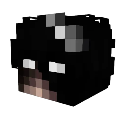PsychgamerxD Minecraft avatar head, 3D render