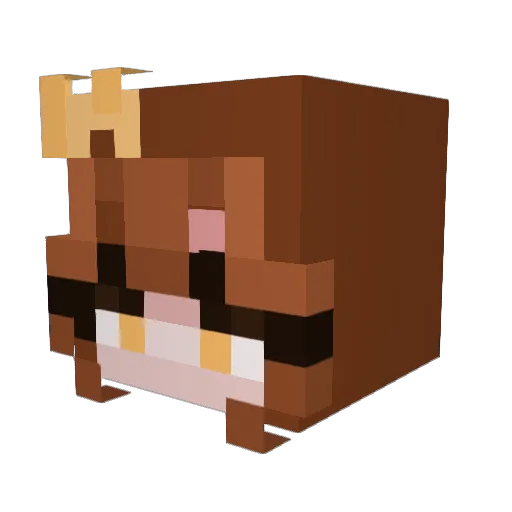 PsychicBoof Minecraft avatar head, 3D render