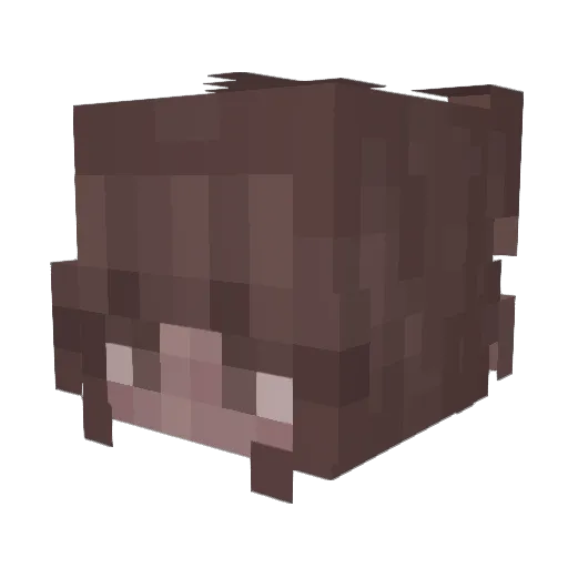 PsychoGemini Minecraft avatar head, 3D render