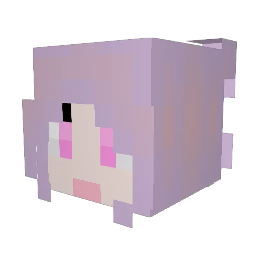 PsychoSloth26 Minecraft avatar head, 3D render