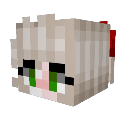 Psychocraft666 Minecraft avatar head, 3D render