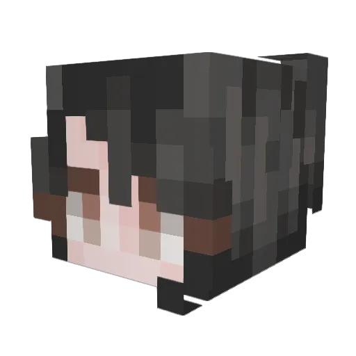 Psychograph Minecraft avatar head, 3D render