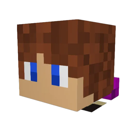 PsychoticDreamer Minecraft avatar head, 3D render