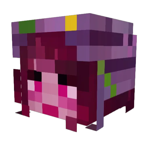 PsychoticKittyz Minecraft avatar head, 3D render