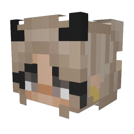 PsychoticNova Minecraft avatar head, 3D render