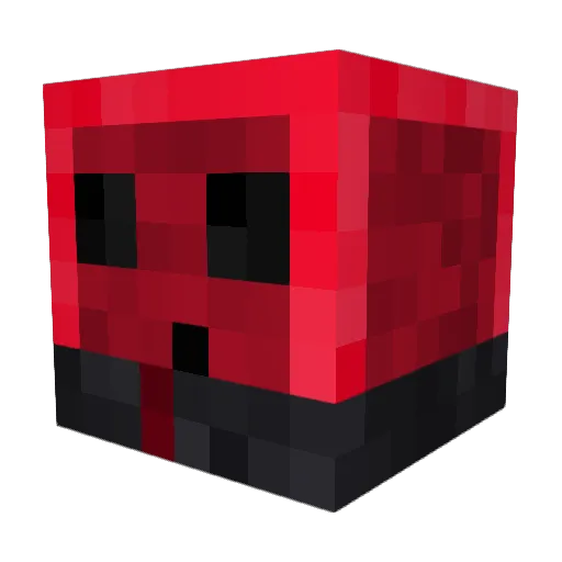 Psychotick_ Minecraft avatar head, 3D render