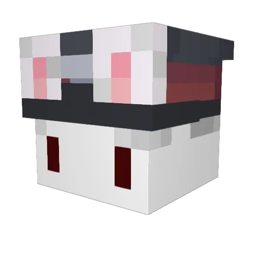 Psychovis Minecraft avatar head, 3D render