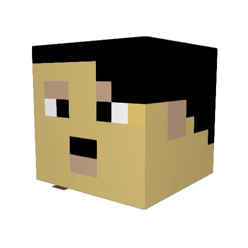 Psykets Minecraft avatar head, 3D render