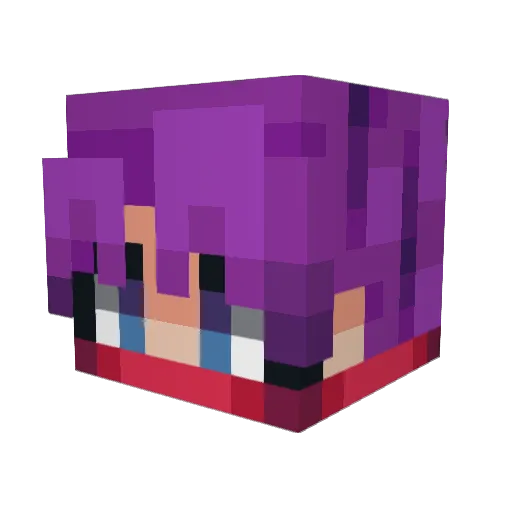 PsylockeSoBad Minecraft avatar head, 3D render