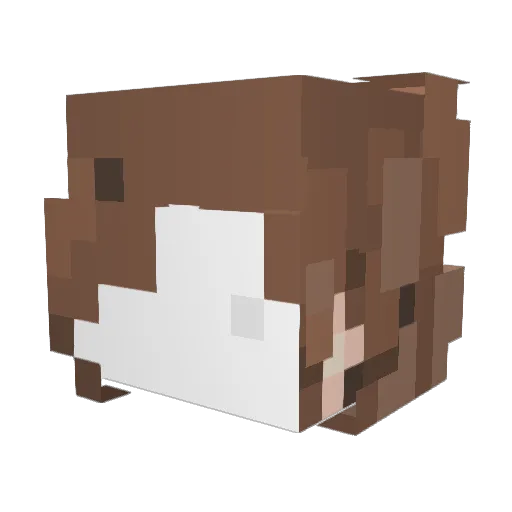 Psyonic Minecraft avatar head, 3D render