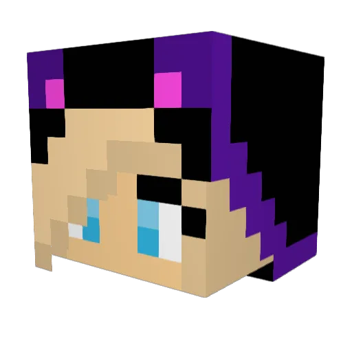Psyvik Minecraft avatar head, 3D render
