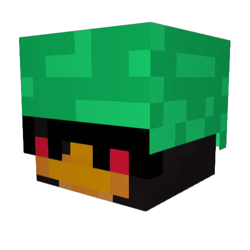 Pt0szek1337 Minecraft avatar head, 3D render