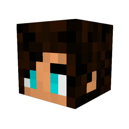 Ptaszyna Minecraft avatar head, 3D render