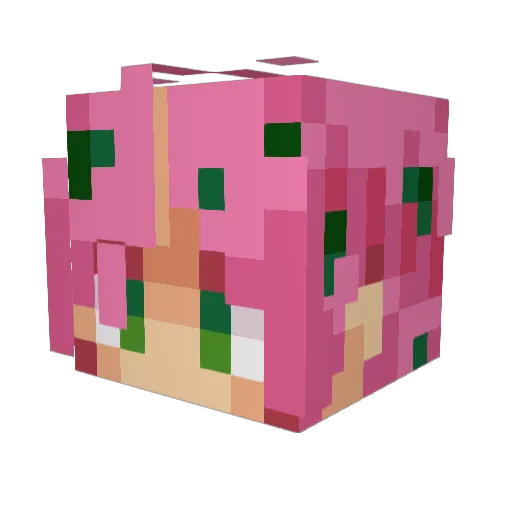 Ptibibiss Minecraft avatar head, 3D render
