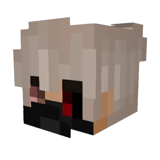 PtitJaune Minecraft avatar head, 3D render