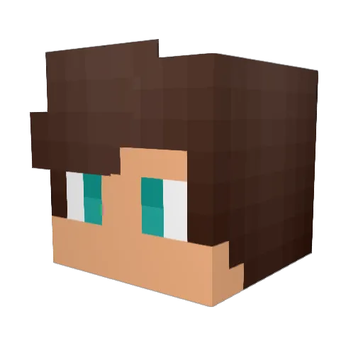 PtitPounch59 Minecraft avatar head, 3D render