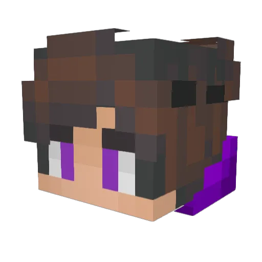 PtkLovesYou Minecraft avatar head, 3D render