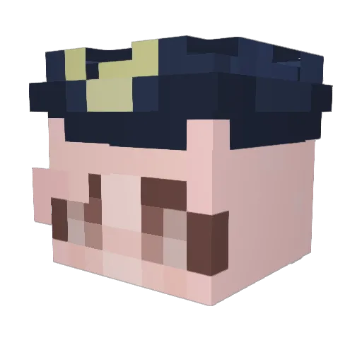 Ptmd Minecraft avatar head, 3D render