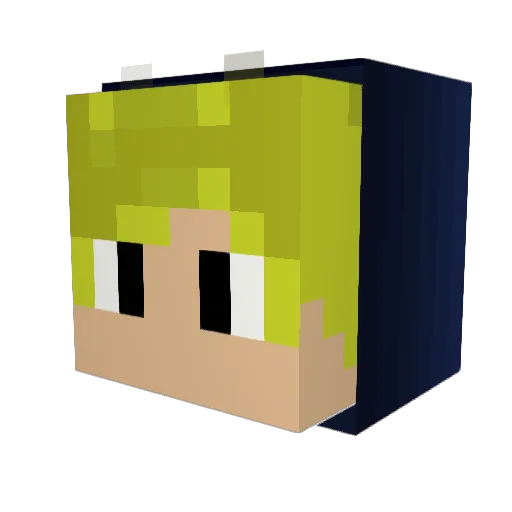 Ptplayer98 Minecraft avatar head, 3D render