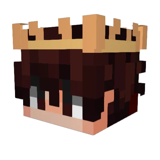 Ptrdrig0 Minecraft avatar head, 3D render