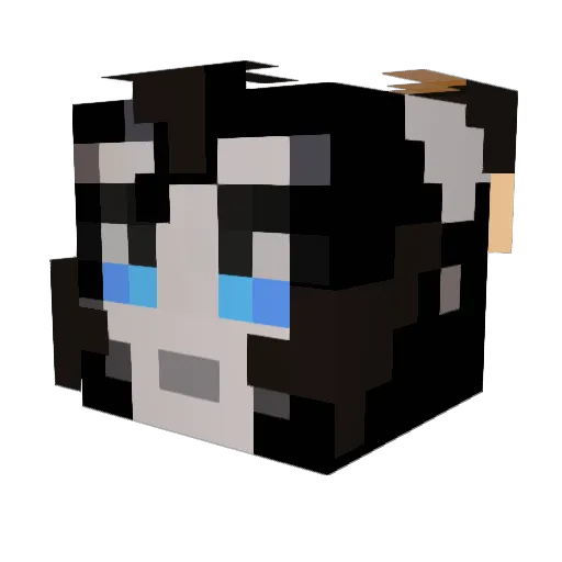 Ptyoonn Minecraft avatar head, 3D render