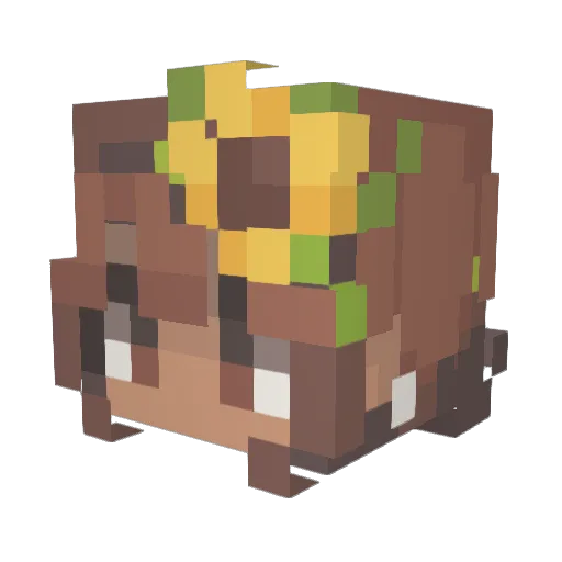 PuF00 Minecraft avatar head, 3D render