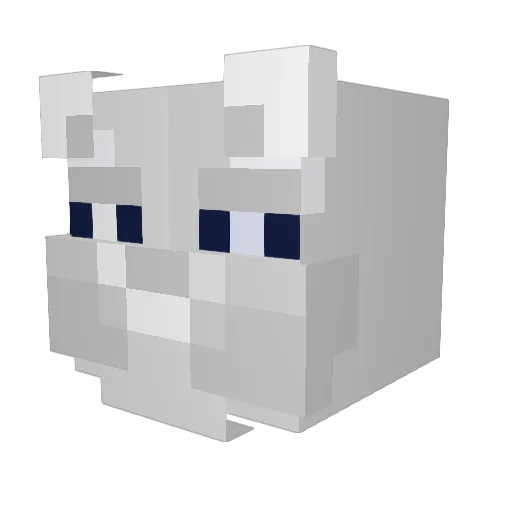 PuJA_AKA Minecraft avatar head, 3D render