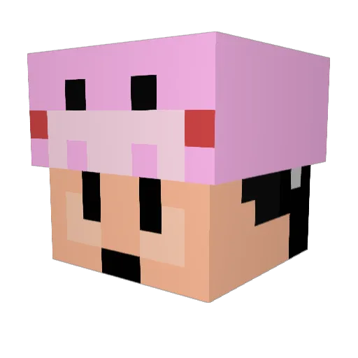 PuPig Minecraft avatar head, 3D render